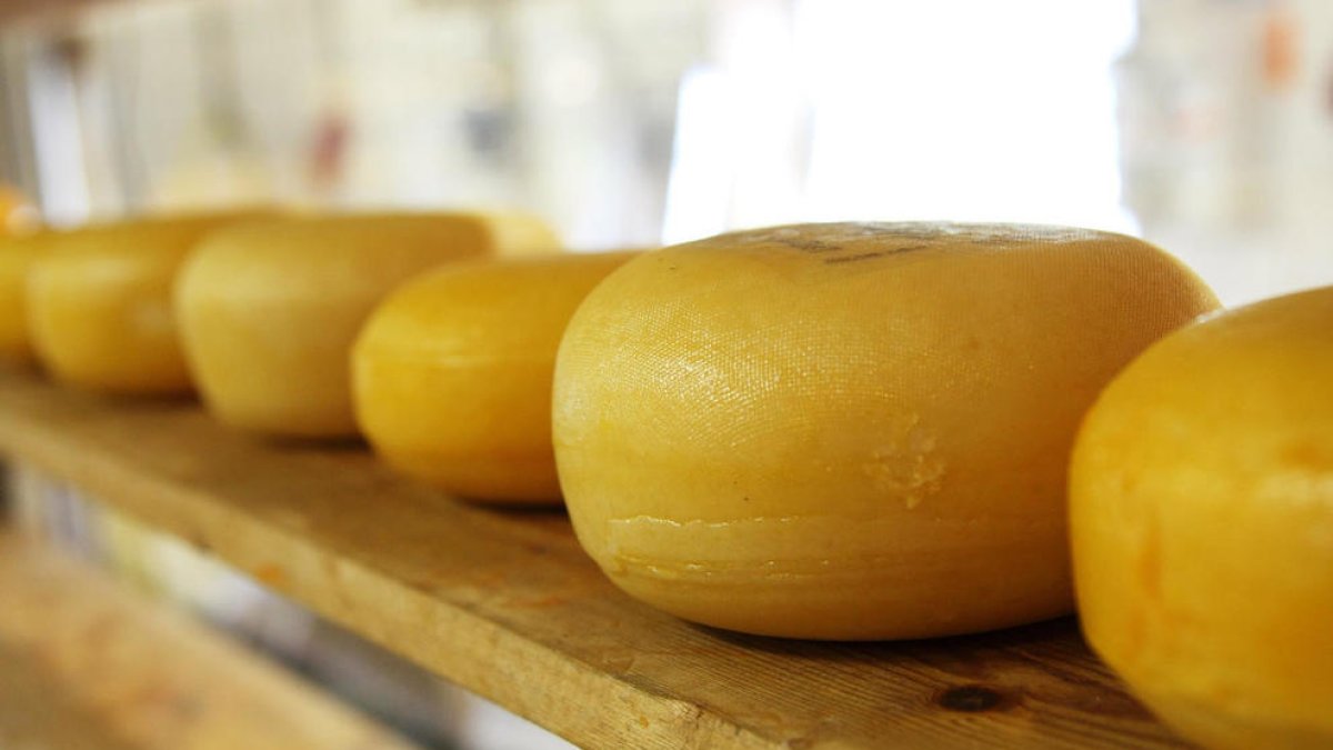 Alerta a Espanya per la possible presència de listeria en diversos formatges d'origen francès