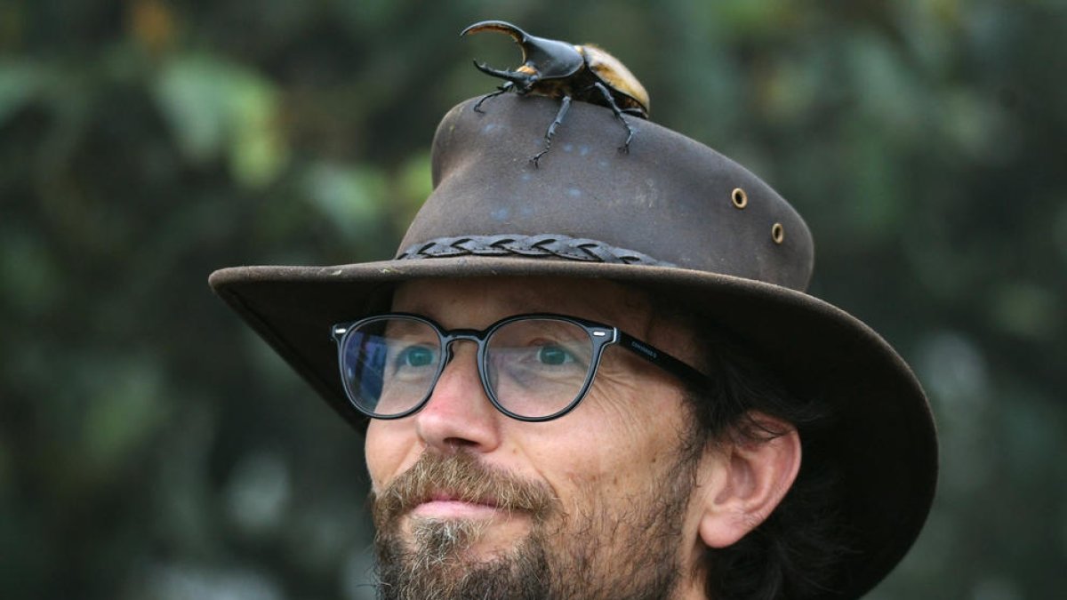 «Los pájaros no son como las catedrales, que están siempre»