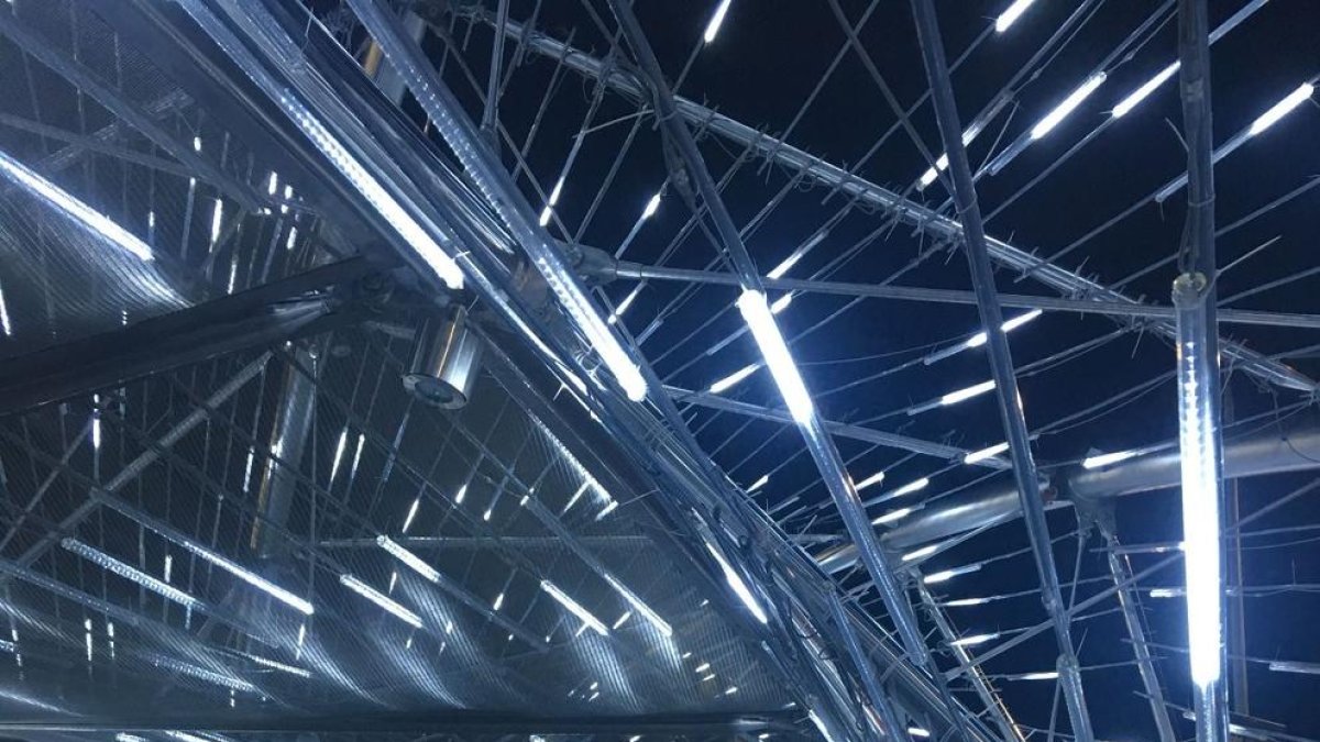 «La voluntat de destacar i avançar han fet que Singapur sigui un país molt ric»