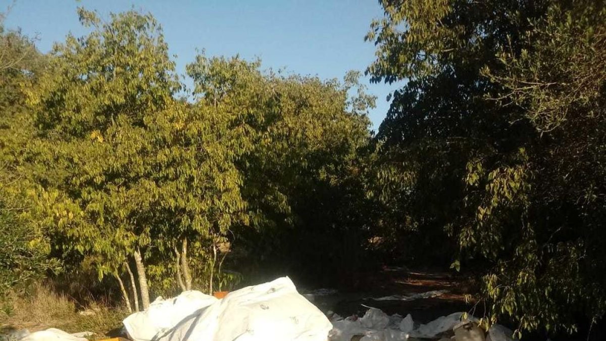 Els veïns de Mas Pellicer denuncien l'acumulació de runa i brutícia als solars propers al barri