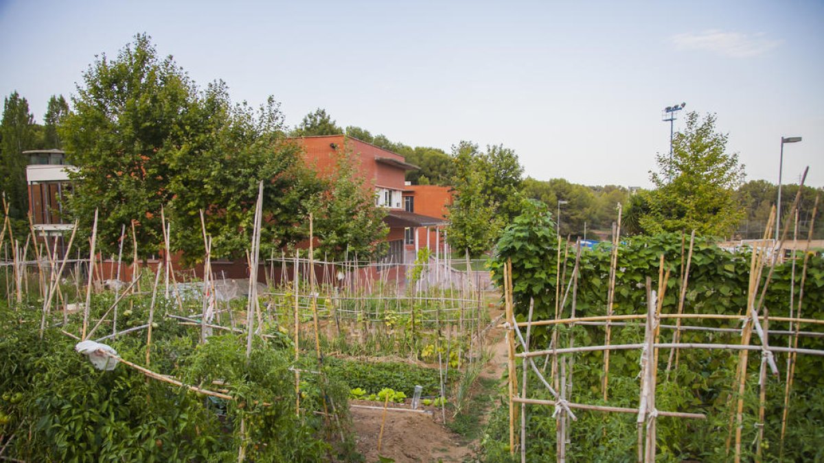 L'Ajuntament sortejarà 24 parcel·les d'horts urbans a Sant Salvador