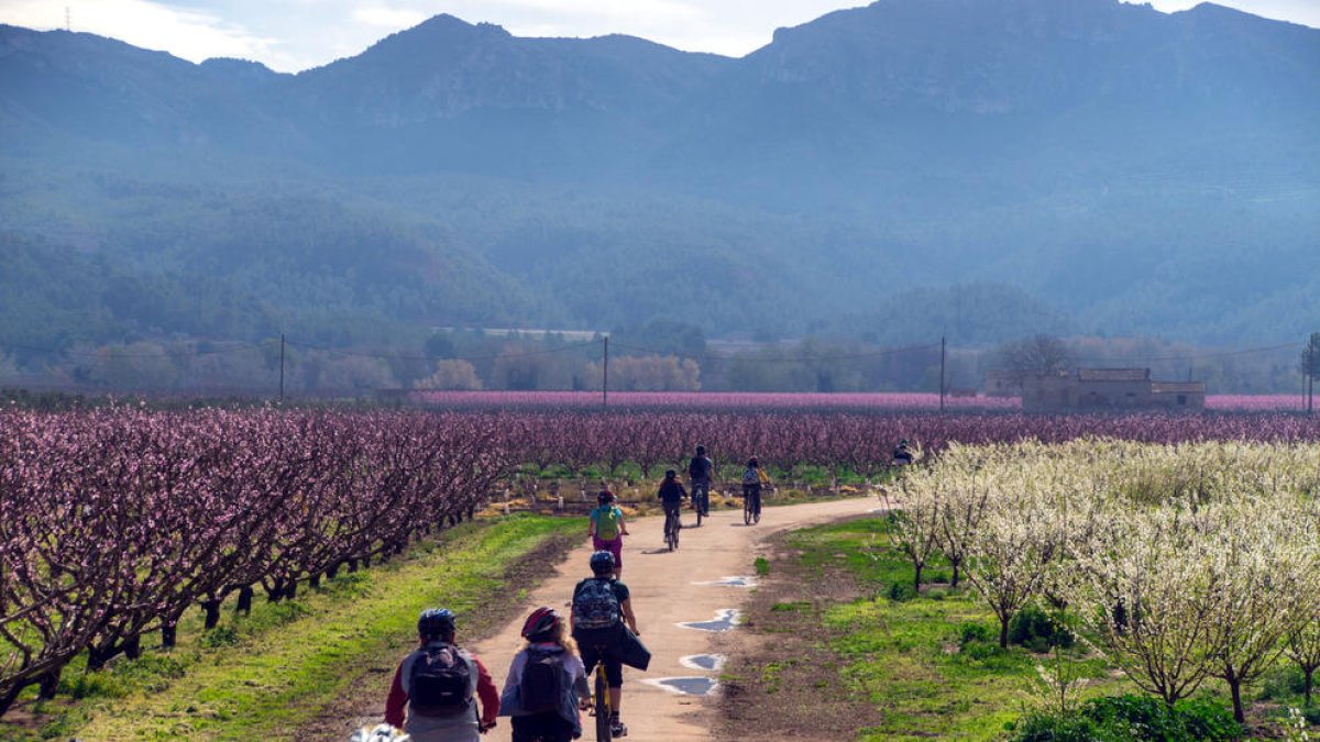 fruiturisme, Ribera de Ebro, turismo, flores