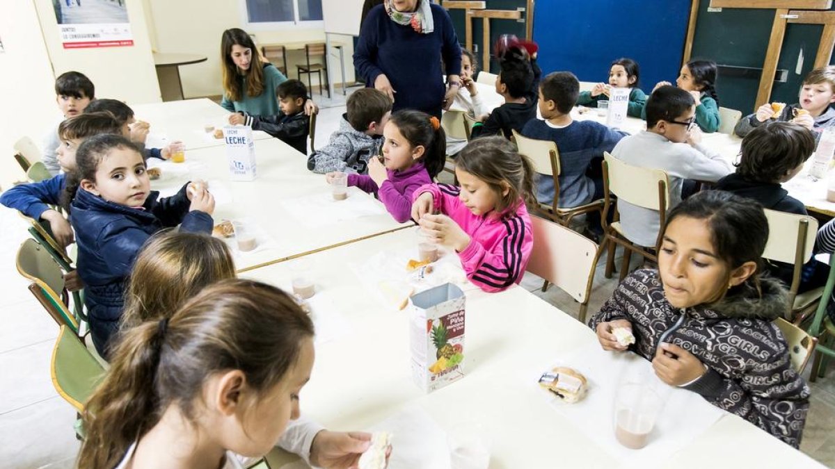 Més de 25.320 persones recorren habitualment al Banc dels Aliments