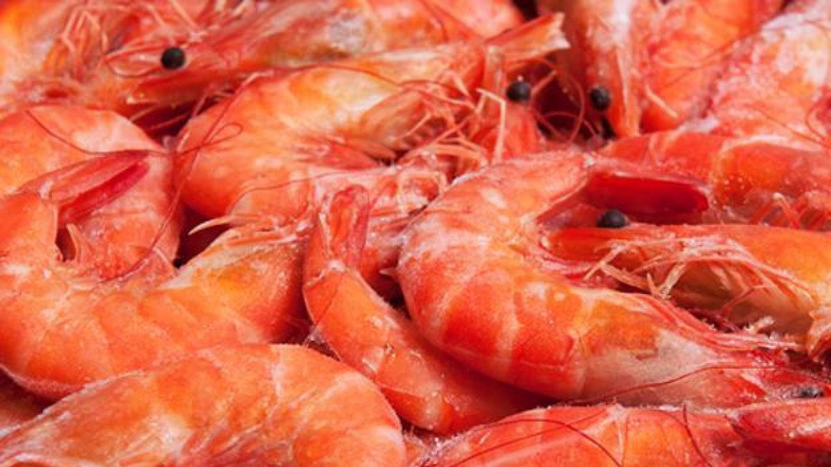 Sanidad alerta del peligro de chupar la cabeza de las gambas