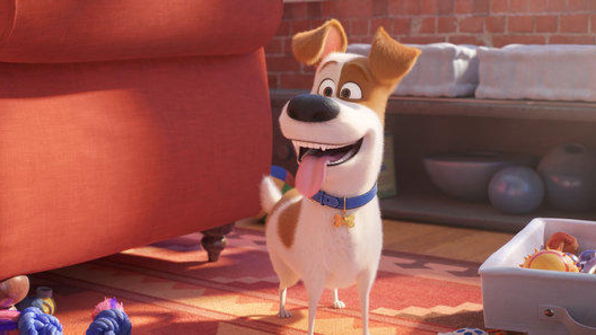 El protagonista de 'Mascotas 2', el perro Max, en la segunda parte de la secuela de animación.