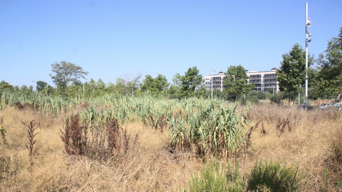 Los vecinos de donde se tiene que construir el Centro Penitenciario Abierto de Tarragona piden que se pare el proyecto