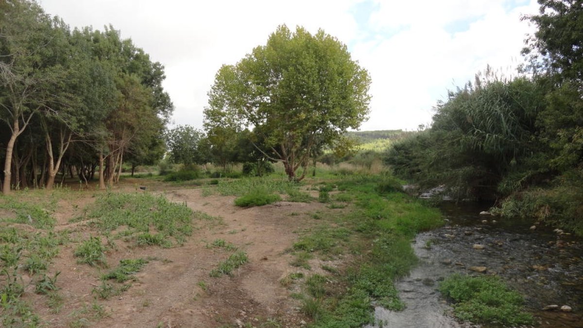 Organizan una plantación popular en los alrededores de la Granja dels Frares del Morell