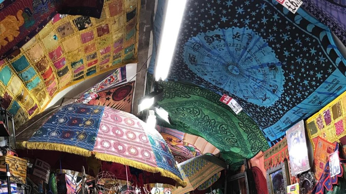 «En el món del clàssic has d'obrir els teus límits»