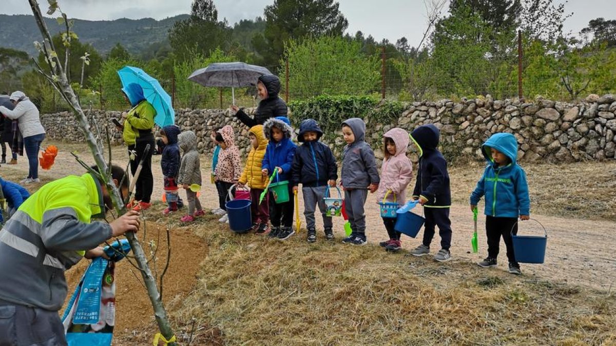 Els alumnes de Vandellòs celebren el Dia de l'Arbre