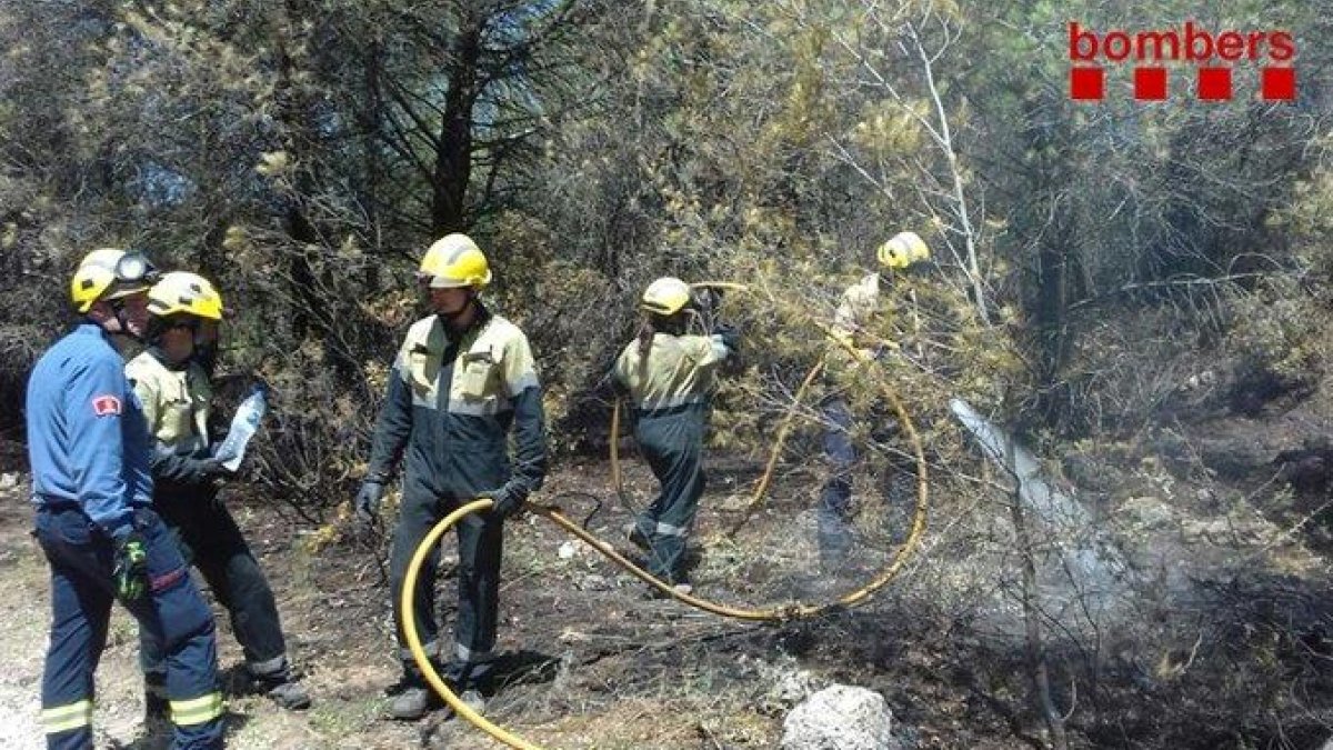 Cremen 1.280 metres quadrats en un incendi forestal a Albinyana