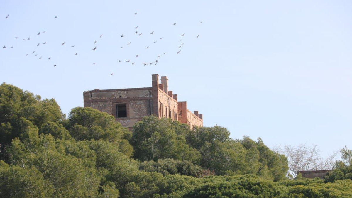 hotel de luxe, urbanisme, sanatori, projecte, Tarragona, POUM, preventori, Savinosa, Diputació, platja