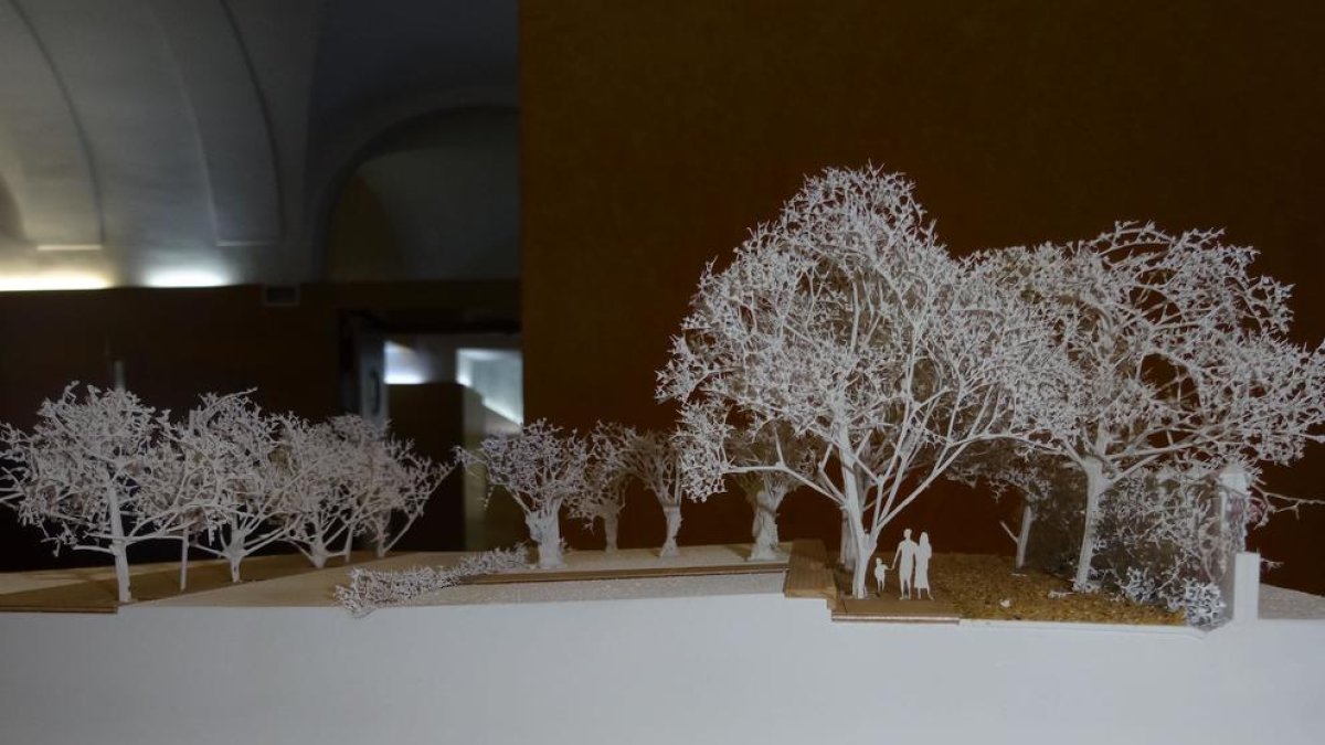 Exposició sobre el projecte de millora i recuperació del passeig de la Boca de la Mina