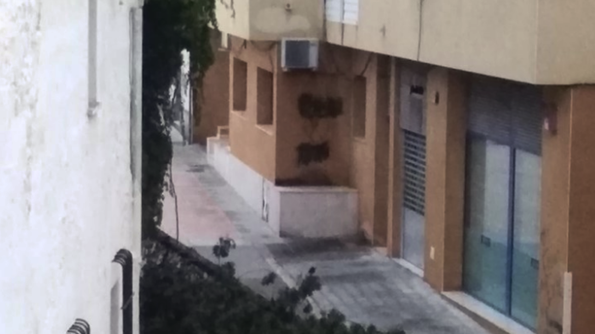 Imatge d'un arbre caigut a Cunit.
