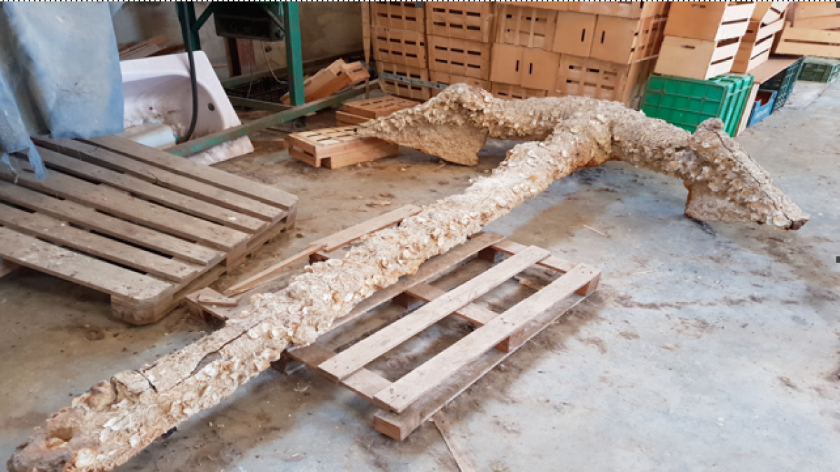 Recuperan una ancla valorada en 6.000 euros que se vendía en Internet