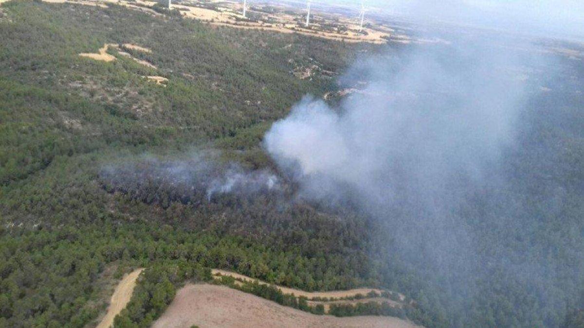 Un incendio quema cerca de 4 hectáreas de vegetación forestal en Conesa