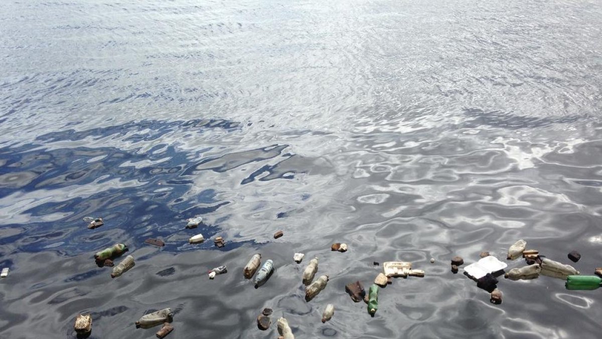 El 90% de basura marina recogida en la playa del Serrallo de Delta es plástica