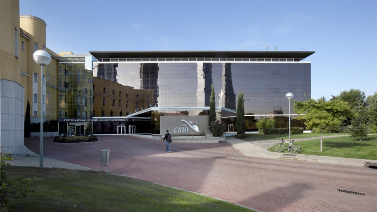 Consiguen por primera vez en ratones la desaparición del cáncer de páncreas