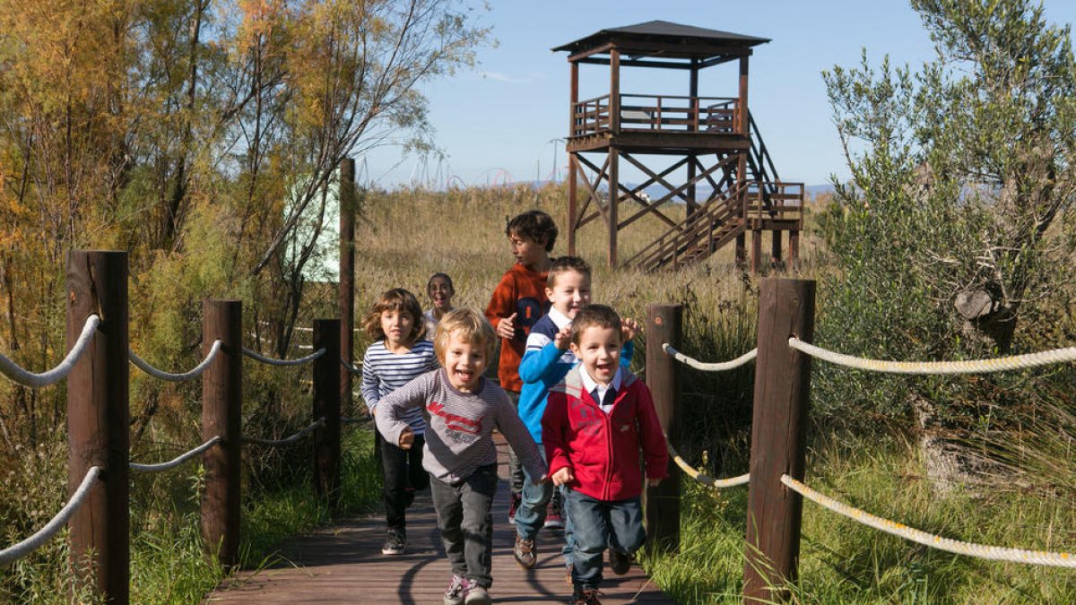 Último fin de semana para visitar el espacio protegido de la Séquia Mayor de Vila-seca