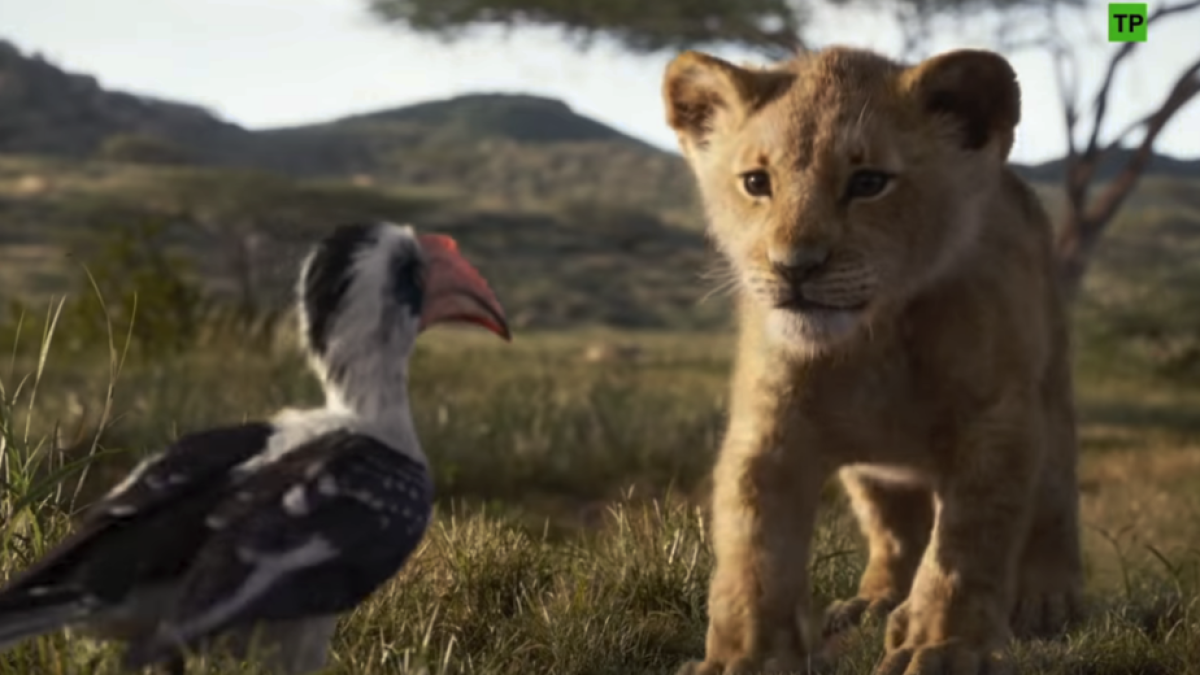 Imagen del segundo trailer de 'El Rey León'.