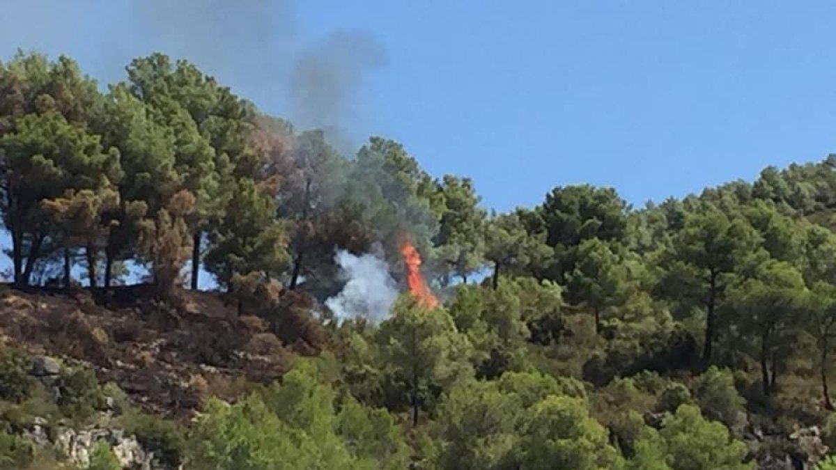 L'ADF extingeix una represa de l'incendi de Querol