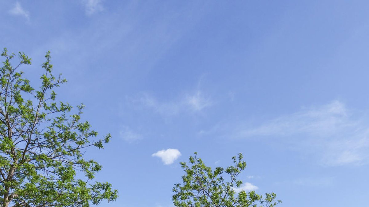 Entre Veïns configura una llista on «no hi ha només líders veïnals»