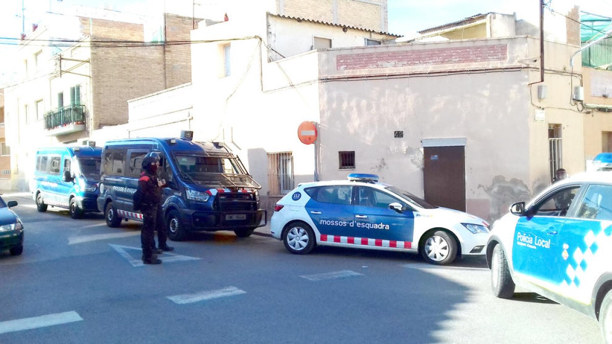 detinguda, cocaïna, tràfic de drogues, decomís, operació, marihuana, mossos d'esquadra, domicili, diners, Quintanes, Amposta