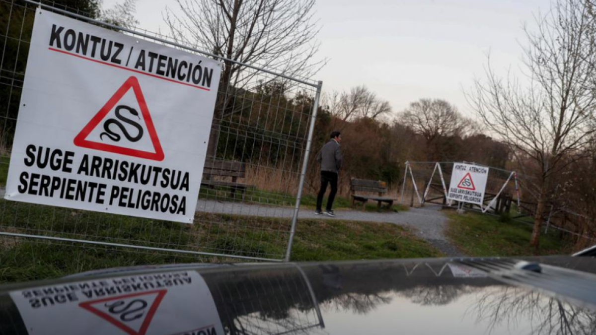 Una broma|bruma pesada sobre una serpiente moviliza toda Guipúzcoa
