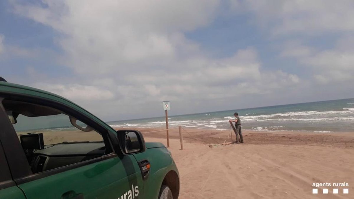 Denuncien el conductor d'un 4x4 per circular per la platja de l'Illa de Buda