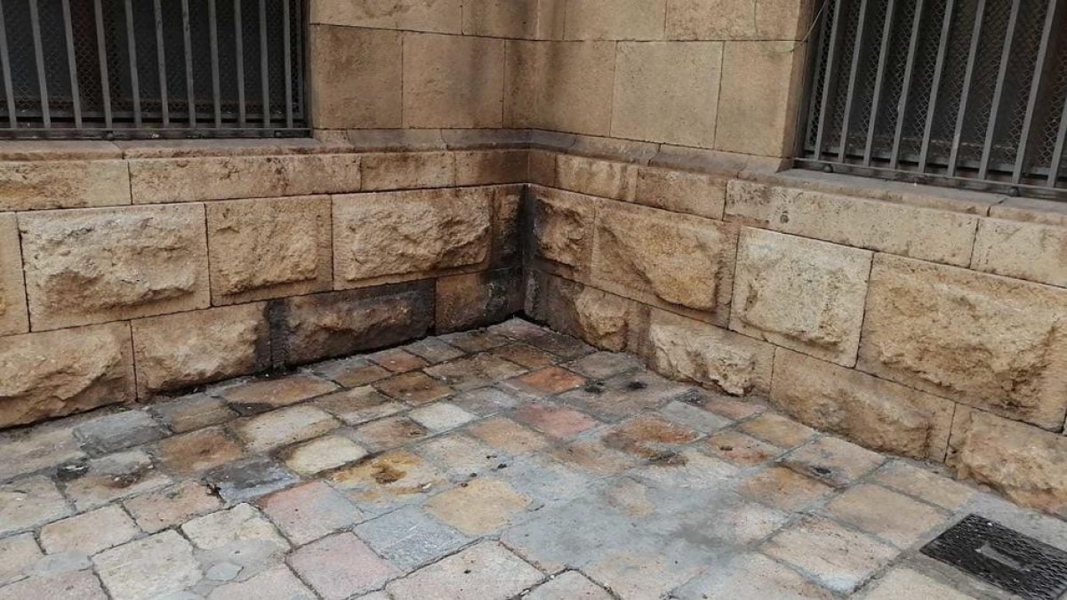 Racó amb restes d'orins al Museu Arqueològic.