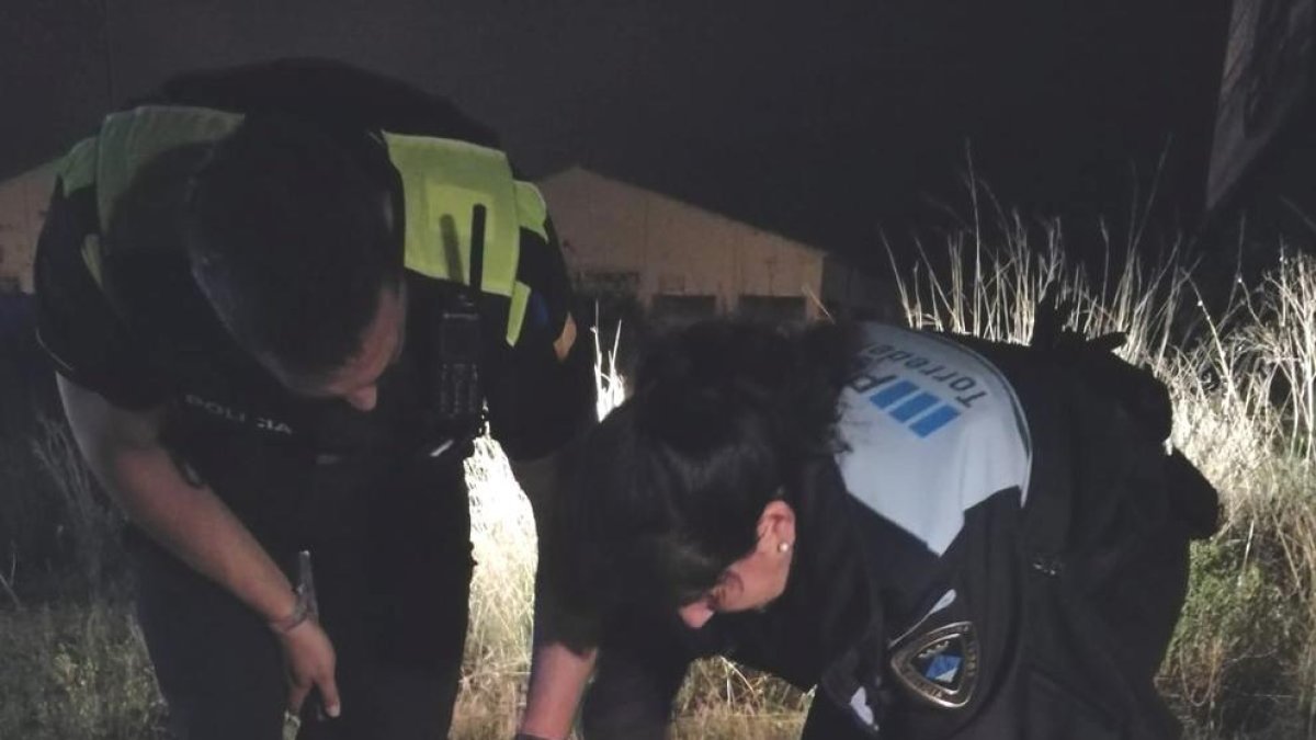 Rescaten una gossa que havia caigut en una bassa de Torredembarra