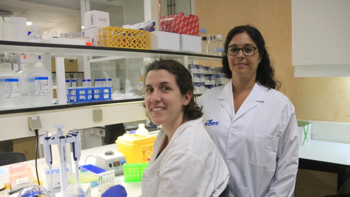 Paso adelante para eliminar las células donde se esconde el virus del VIH