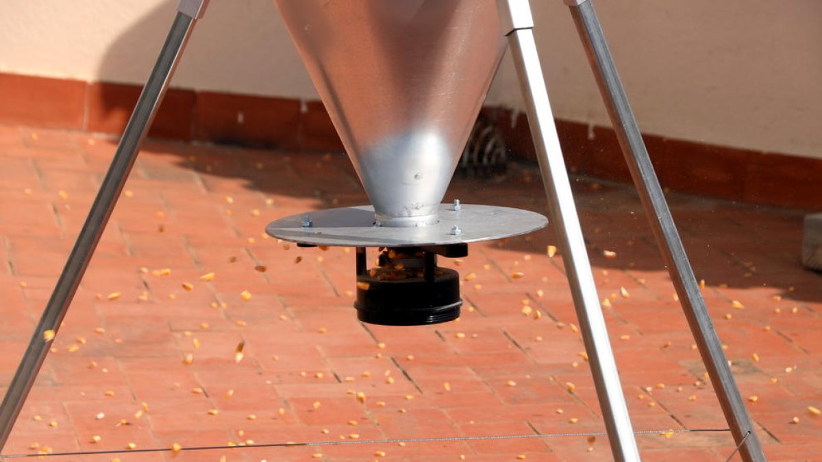 Ajuntament de Reus, colom, dispensador, control, població, pinso, anticonceptiu, Carles Pellicer