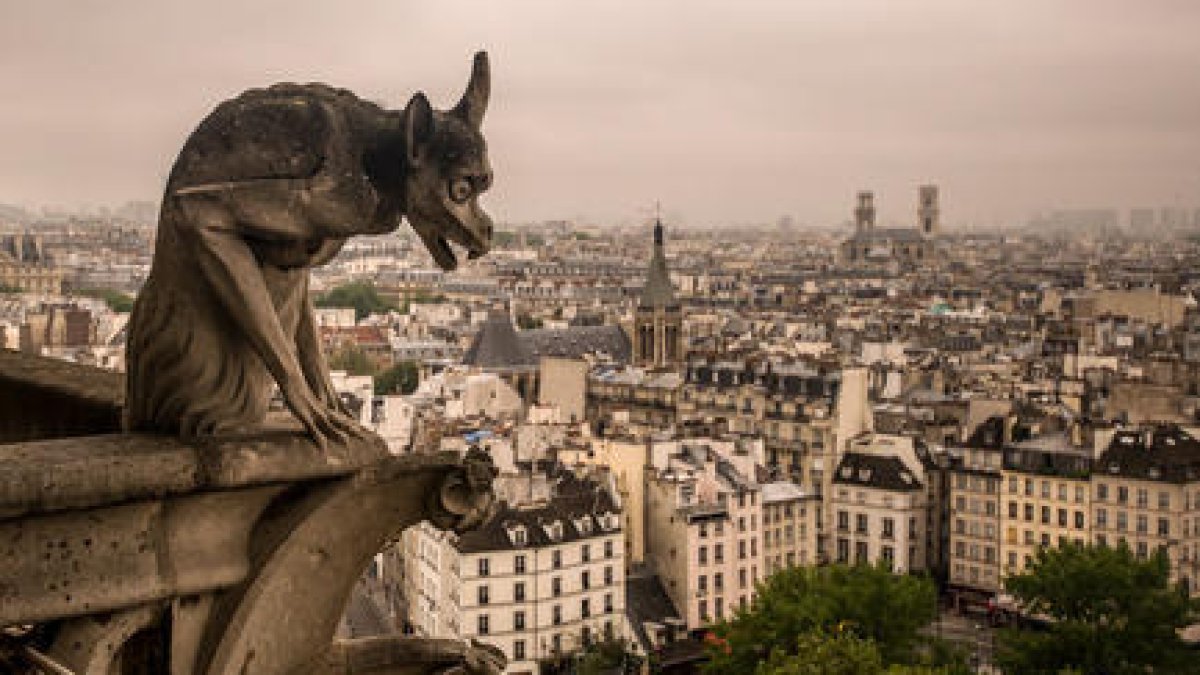 La Catedral de Notre-Dame, un dels tresors gòtics més antics del món