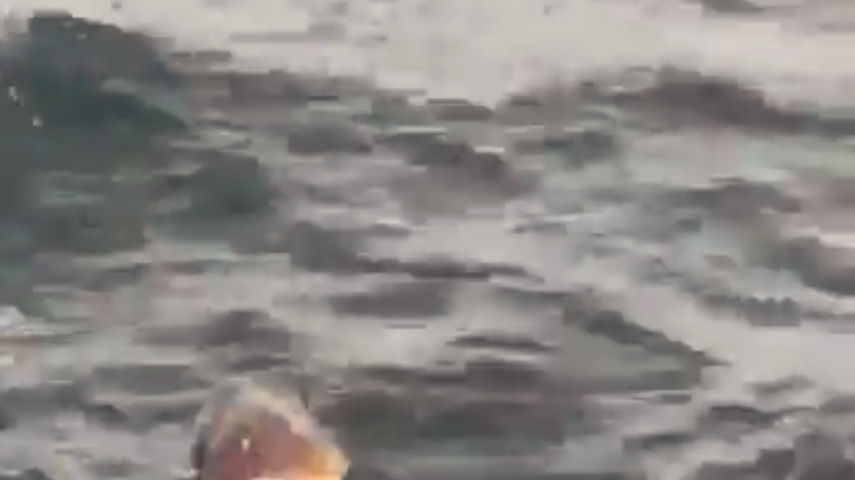 Avistan una tortuga marina muerta en el Far de la Banya de Tarragona