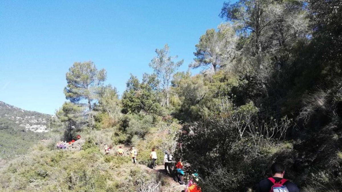 Tot a punt per la 3a cursa-caminada al Niu de l'Àliga en benefici de Càritas Alcover