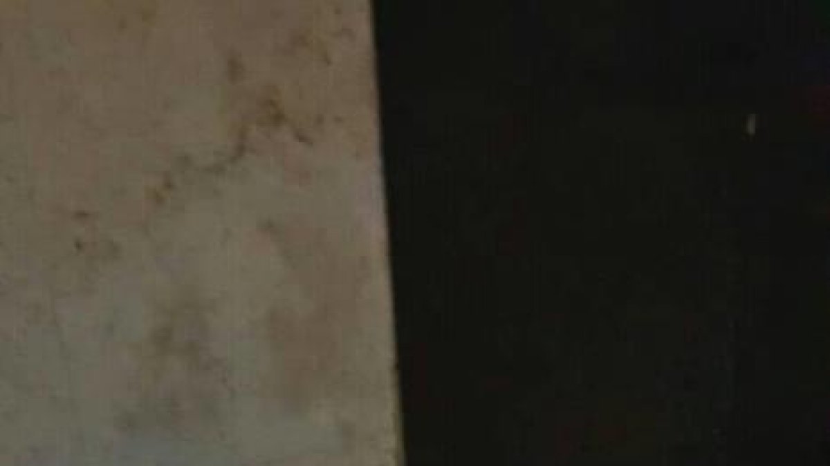 Un hombre increpa a los usuarios y da un golpe a un vigilante en la estación de tren de Reus