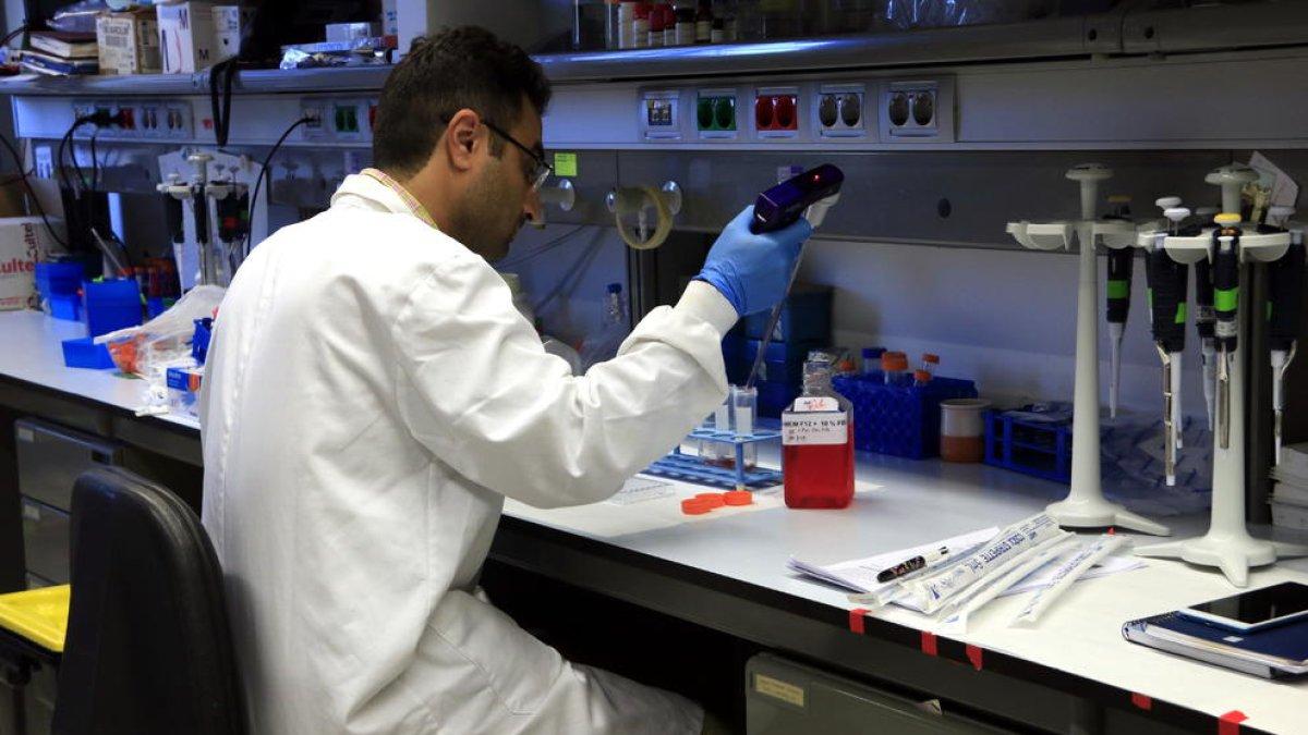 Descubren que un fármaco que iba a ser retirado frena el cáncer de vejiga