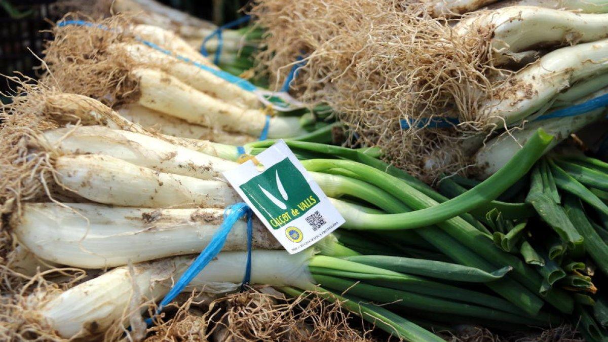 Mercabarna ha distribuido esta temporada 10 millones de calçots tarraconenses