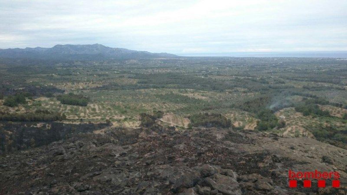 50 dotaciones de los Bomberos trabajan para controlar el incendio del Perelló