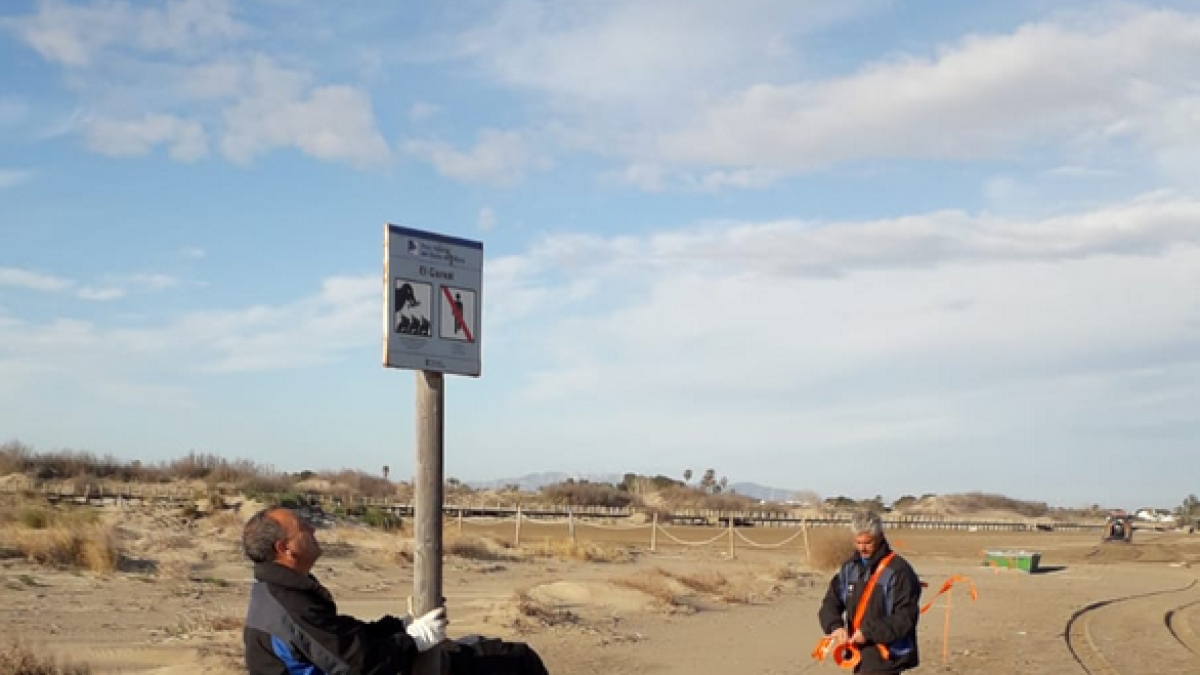 Delimiten les àrees de nidificació d'ocells marins i litorals al Delta de l'Ebre amb l'inici de temporada