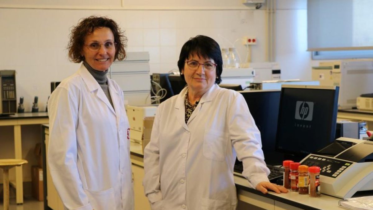 Les investigadores Itziar Ruisánchez i Pilar Callao han encapçalat la recerca.