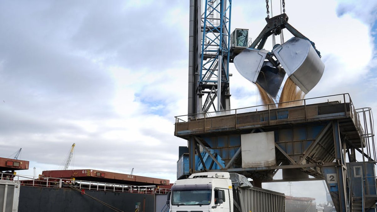 Procés de descàrrega de gra d'un vaixell al Port de Tarragona.