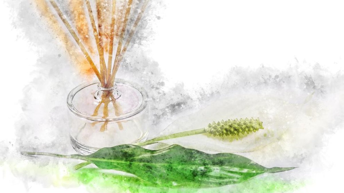 El Ministeri de Sanitat assenyala per primera vegada les pseudoteràpies a Espanya