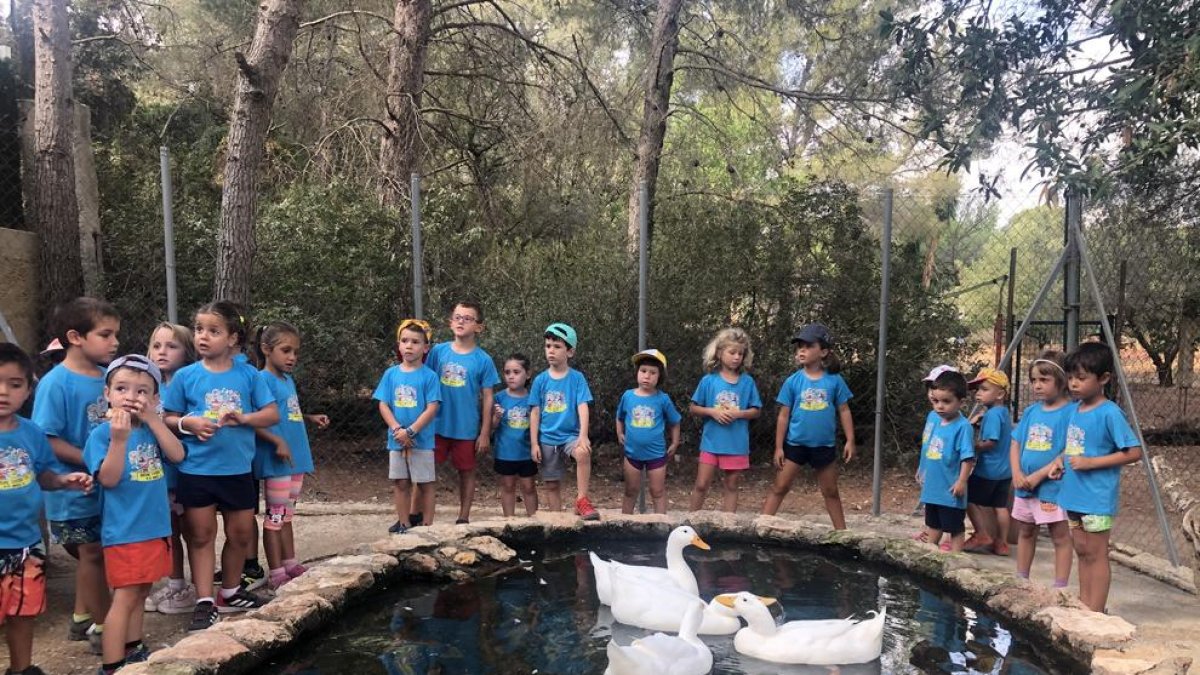 Més d'un centenar d'infants gaudeixen del Casal d'Estiu del Morell