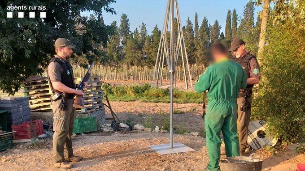 Denuncien tres caçadors de les Terres de l'Ebre per no dur la documentació corresponent