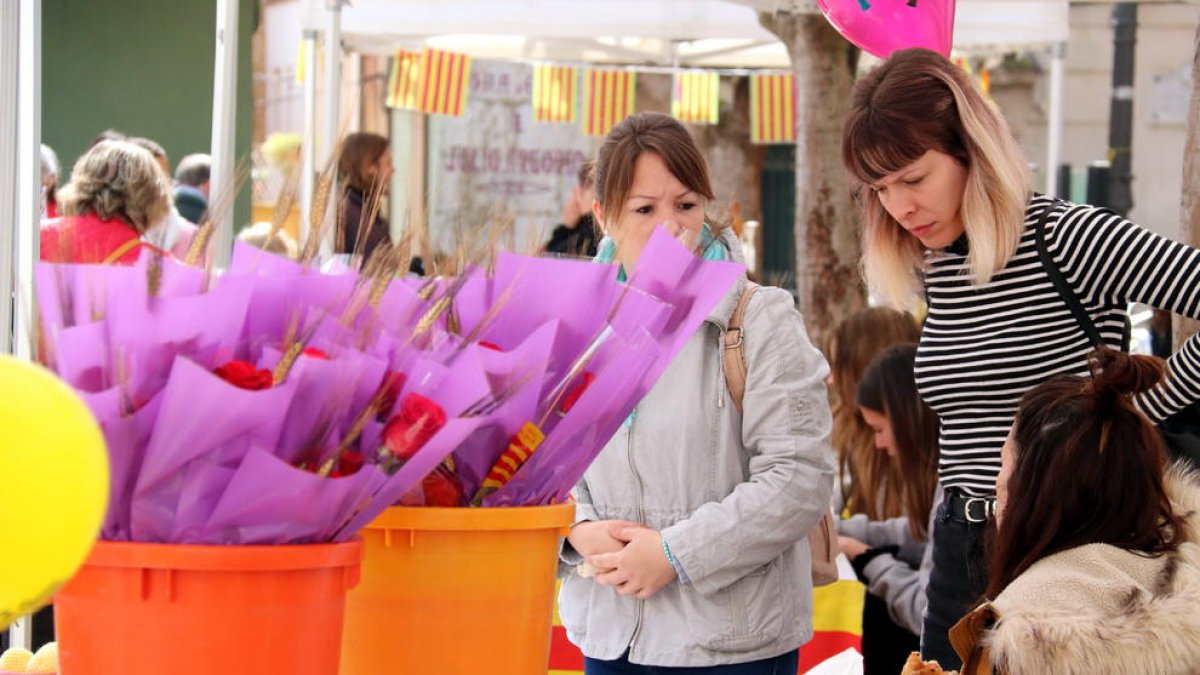 temps, autor, venda, llibre, carrer, rosa, Litterarum, Premi Nacional de Cultura, Móra d'Ebre, plaça, Sant Jordi