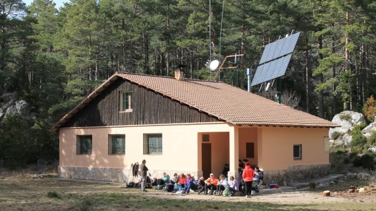 Gepec acusa a Agricultura de talar irregularmente un bosque protegido de los Ports