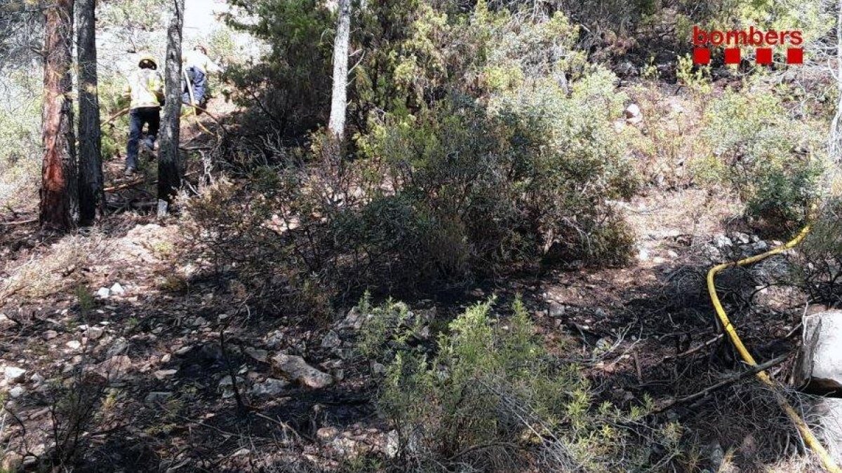 Incendio Prat de Comte, Terra Alta