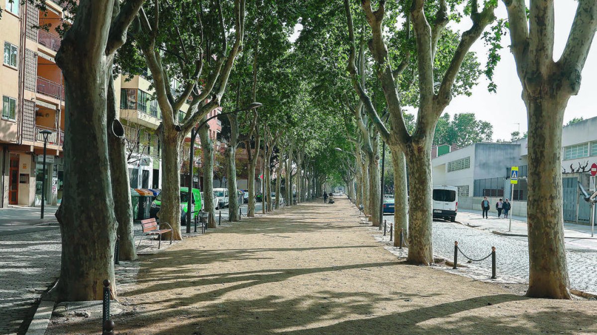 Finalitza l'obra de reforma de la coca central del passeig Misericòrdia