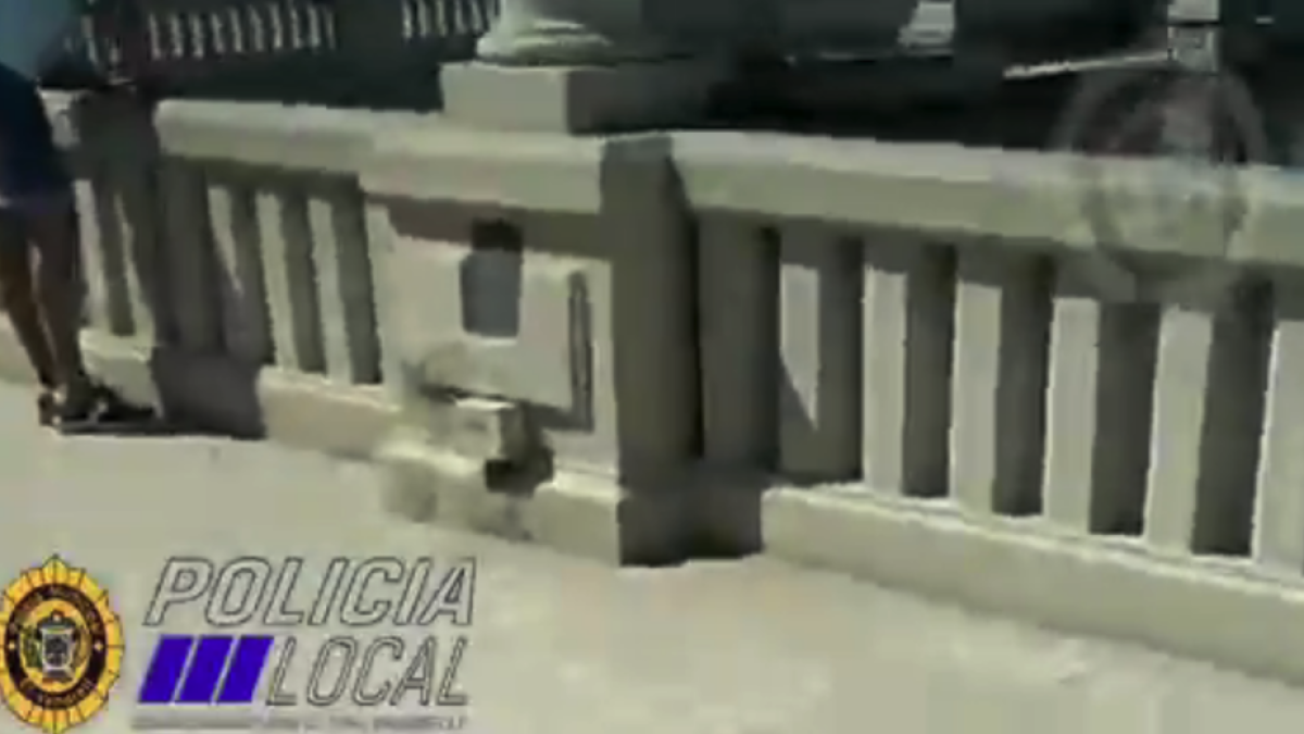 Denunciado por intentar pescar una lubina de entre 5 y 7 kilos en el lago de Coma-ruga